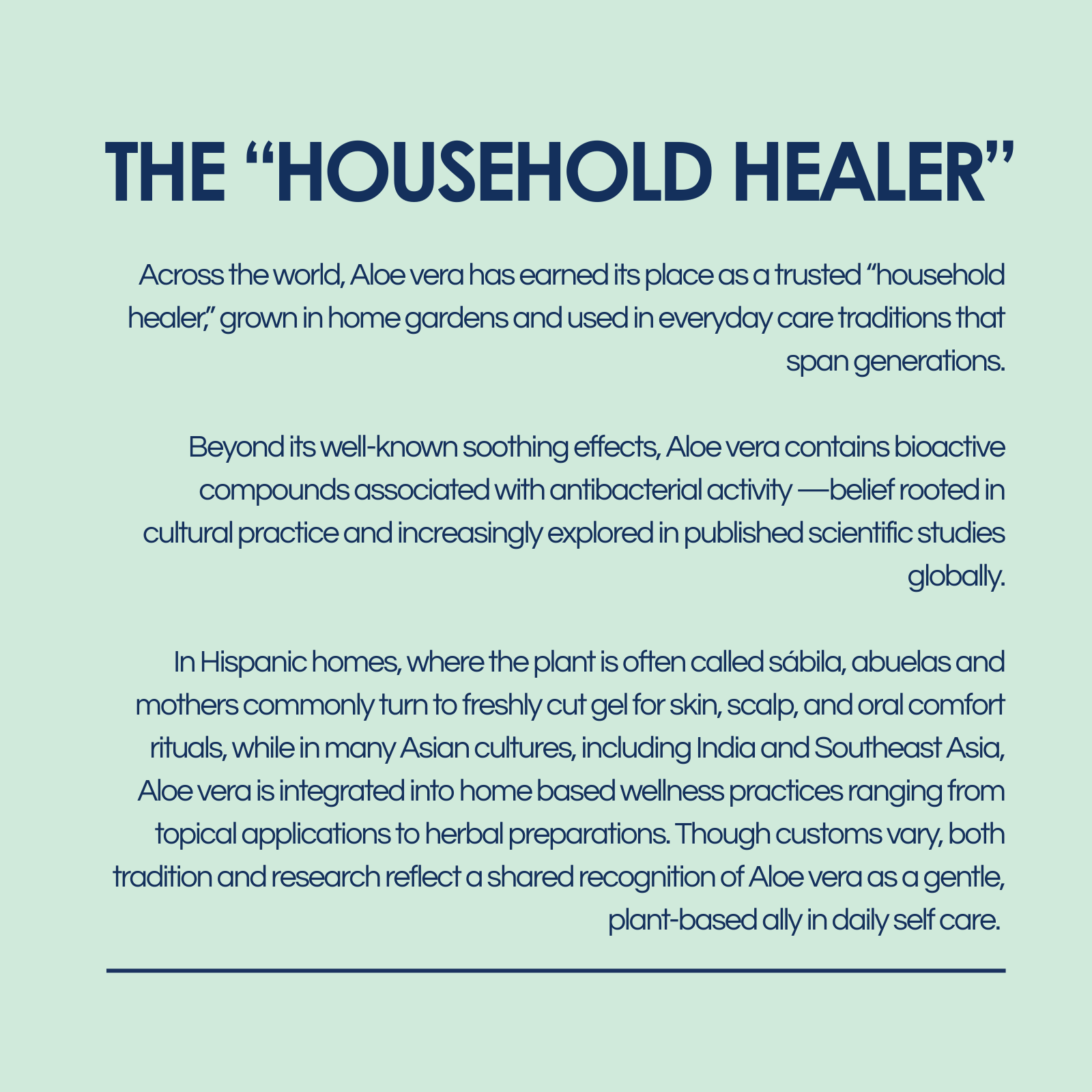 Text about Aloe vera as a 'household healer' on a light blue background